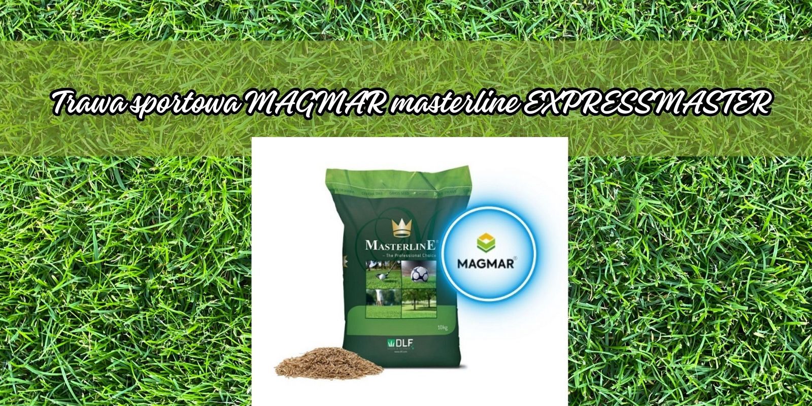 nasiona trawy sportowej magmar masterline expressmaster(1)