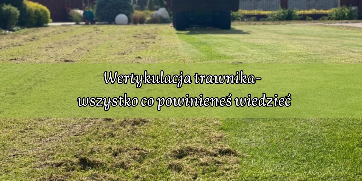 wertykulacja trawnika