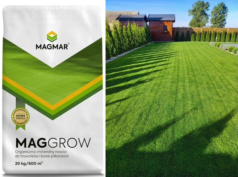 kolaz mix trawnik maggrow 